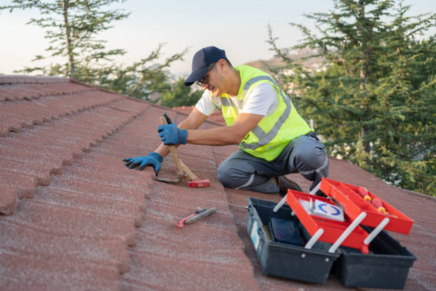 Professional Roofing Contractor in Inglis, FL